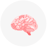 Brain icon