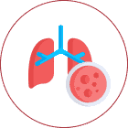 lungs icon