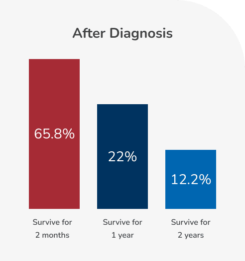 Pericardial Meso After Diagnosis Graph