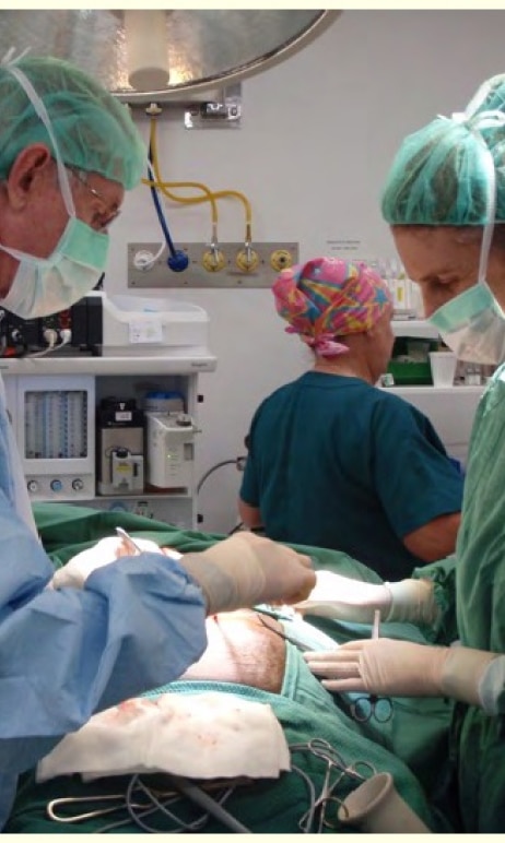 doctors in the OR