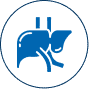 Internal Organ Impairment