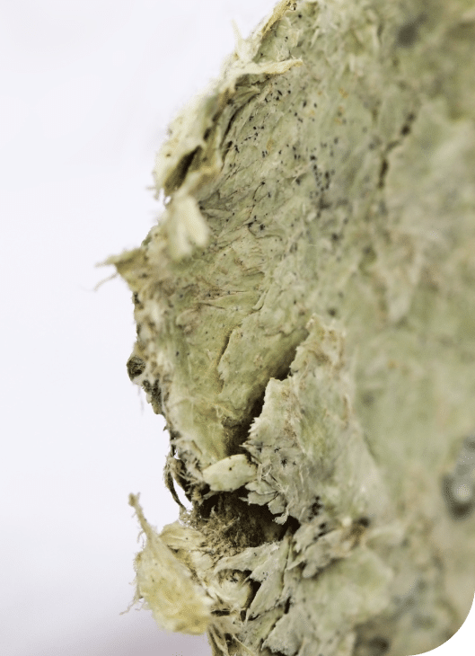 asbestos