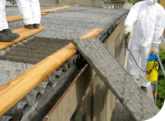 Professional removing asbestos