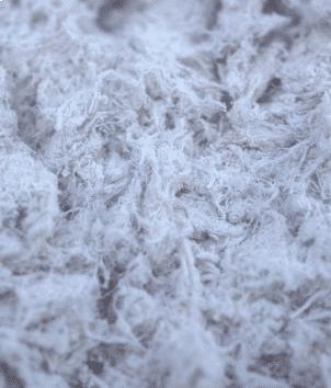 Tremolite-actinolite asbestos