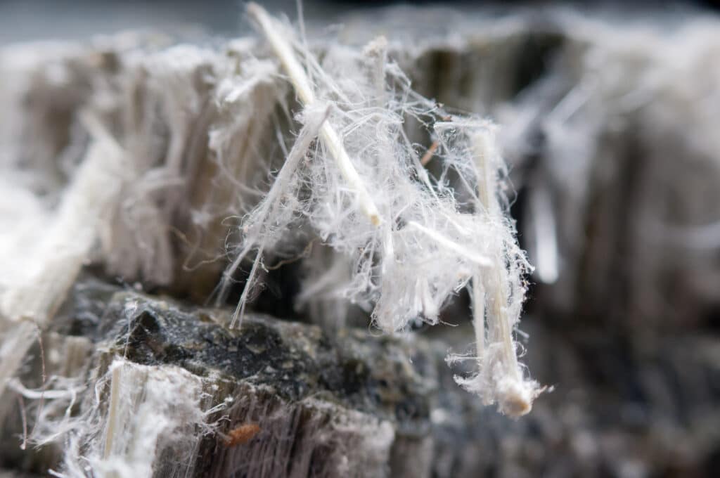 Magnified asbestos fibers