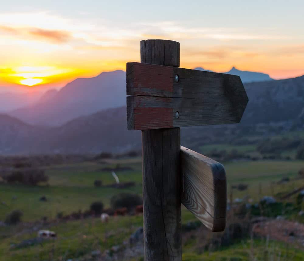 A wooden post on a field at sunrise, pointing to two different and opposing directions.
