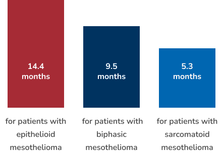 Bar Chart Outlining Mesothelioma Prognosis