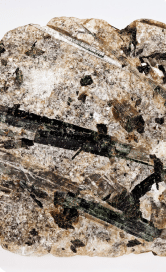 Magnified Image of Actinolite Asbestos