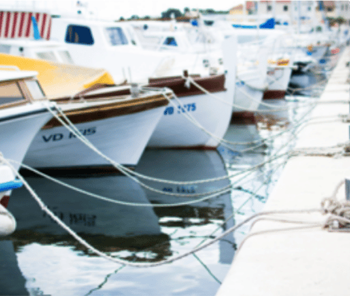 Boats moored at a port