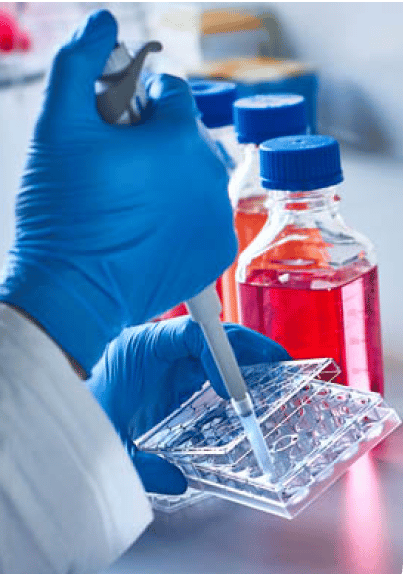 Hand of a doctor doing tests