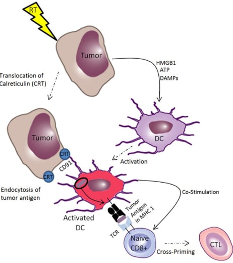 Infographic explaining mesothelioma chemotherapy