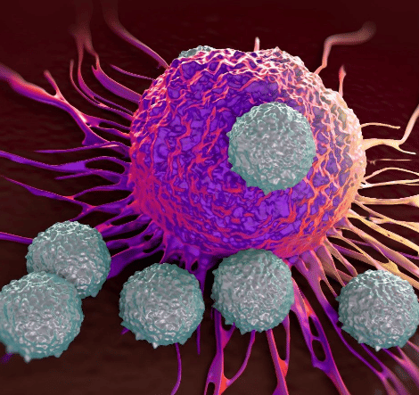 White cells and mesothelioma cell