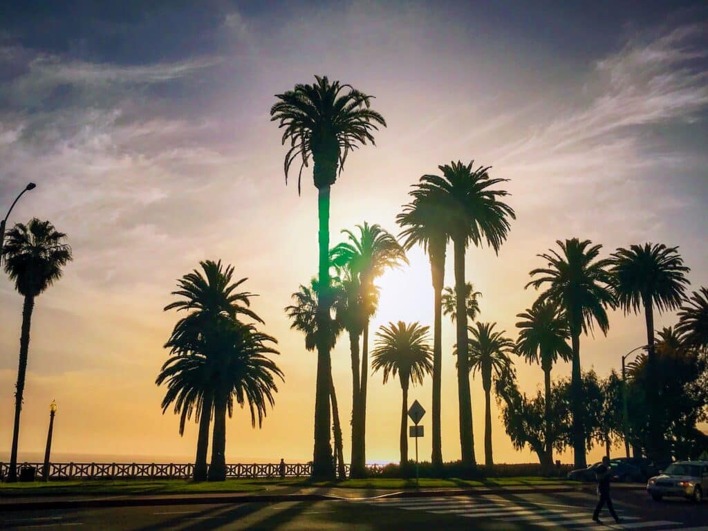 Santa Monica, California with palm tress at sunset