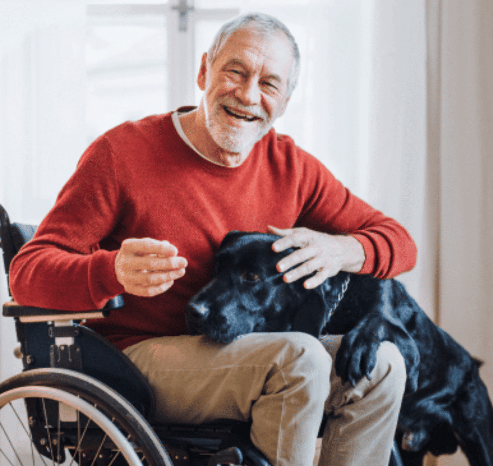 An old man in a wheelchair with his dog